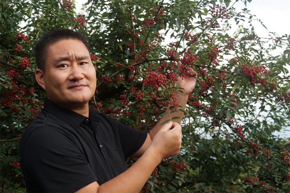 明升mansion882022大事记